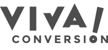 master marketing digital - Viva conversion