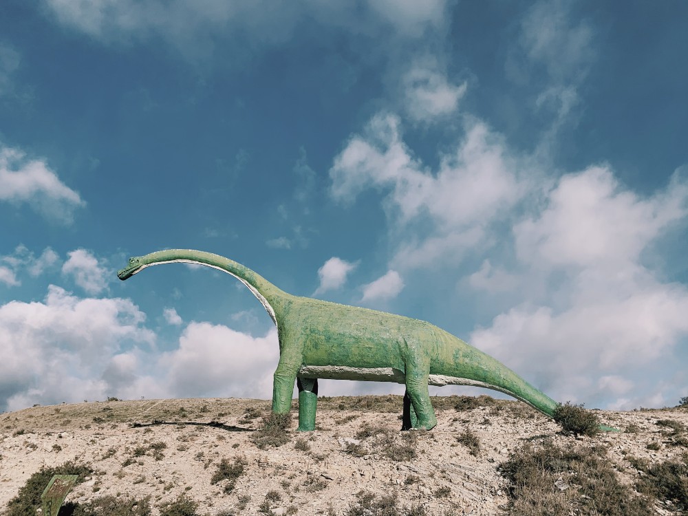 TU EMPRESA ESTÁ EN PELIGRO DE EXTINCIÓN