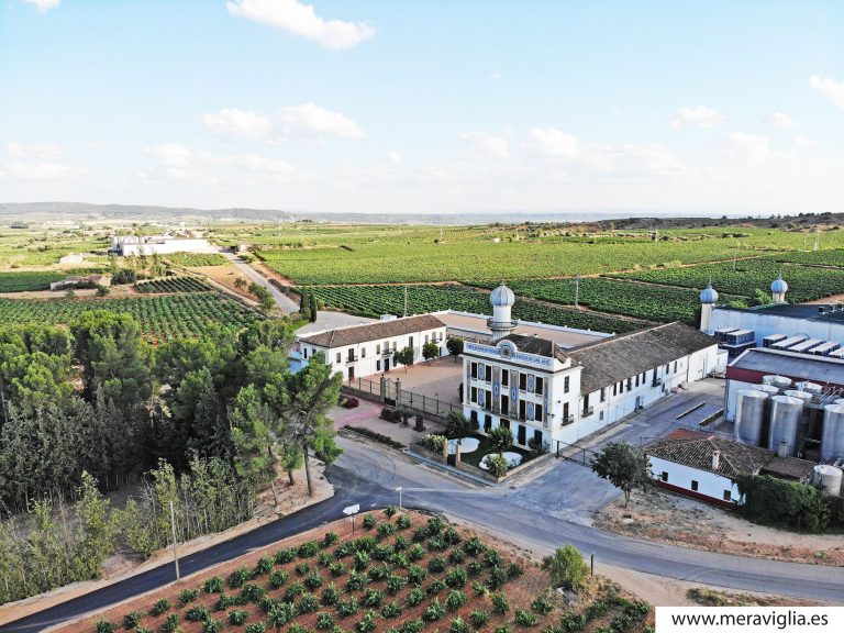 Bodegas Torre Oria