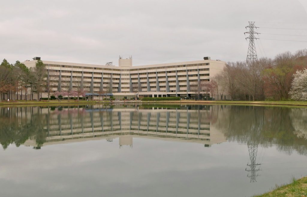 Empresa de estrategias de internacionalización