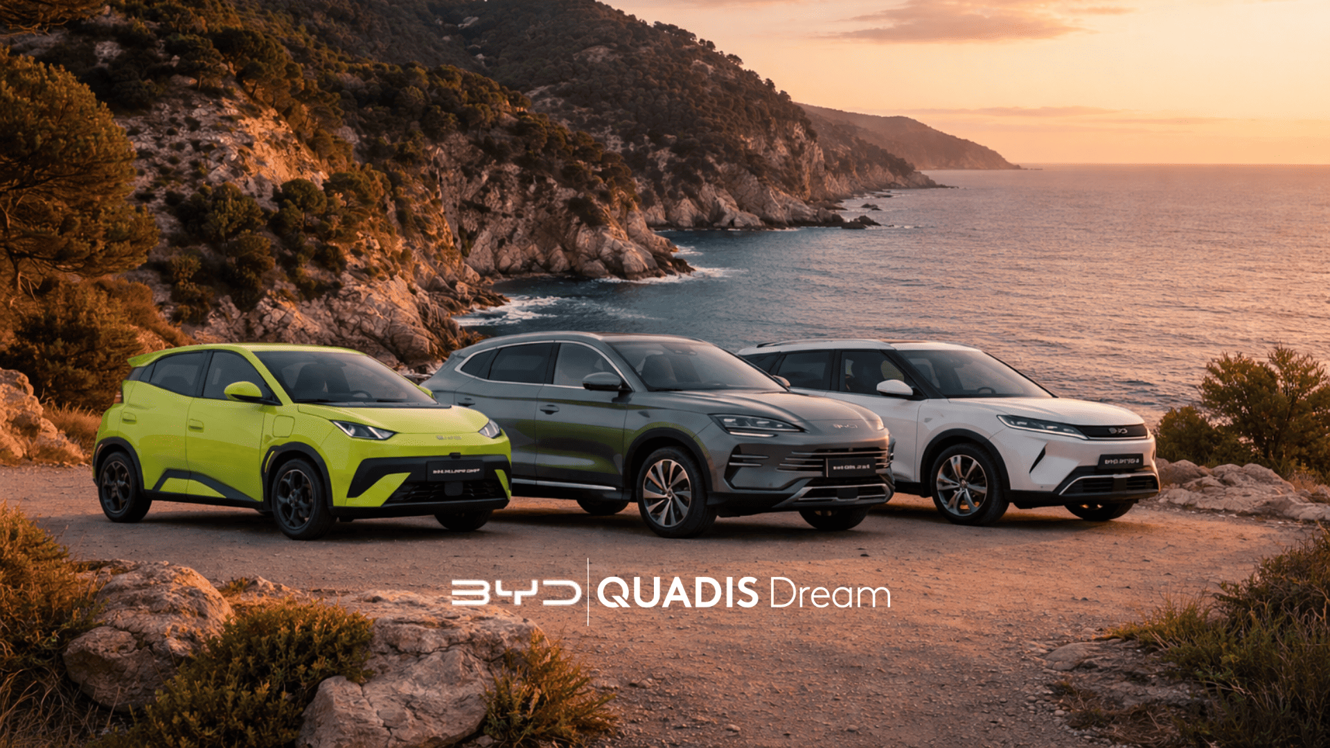 Quadis_Dream_Med_Miembro_EDEM
