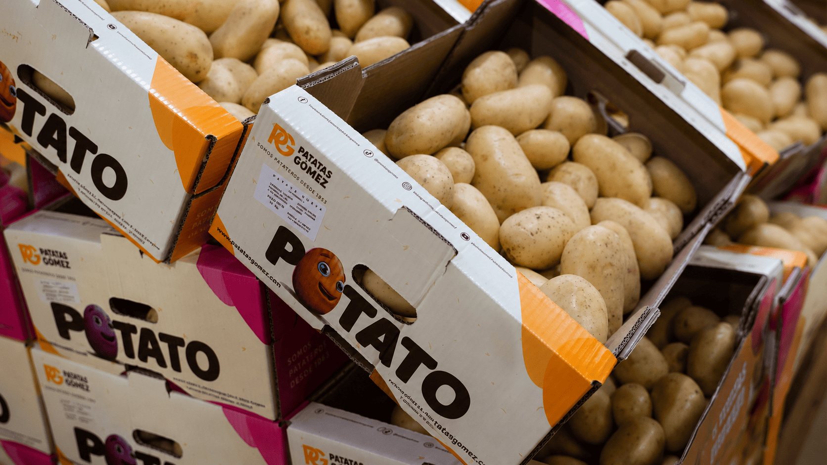 Patatas_Gomez_Miembro_EDEM
